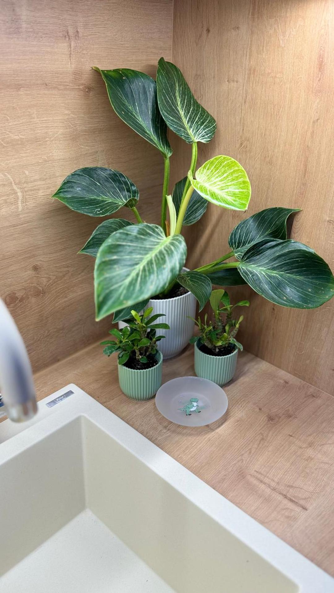 Benjamínek rodinný apartmán