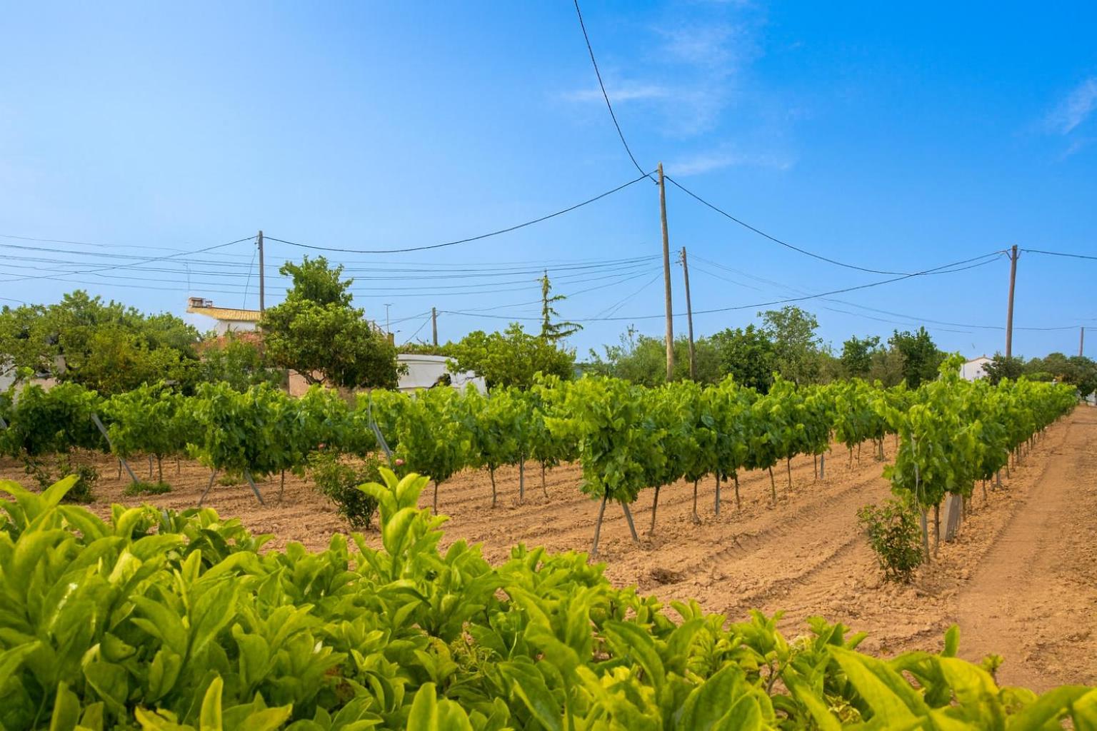 View (from property/room)