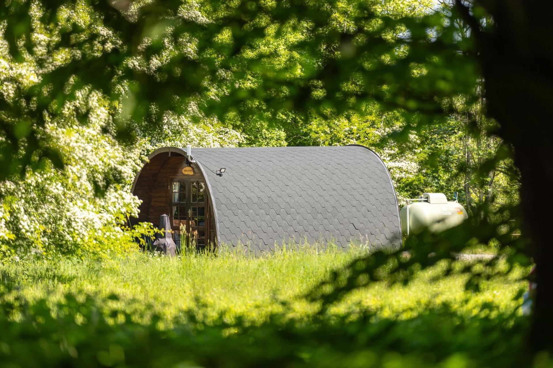 Green Oak Nature Retreat