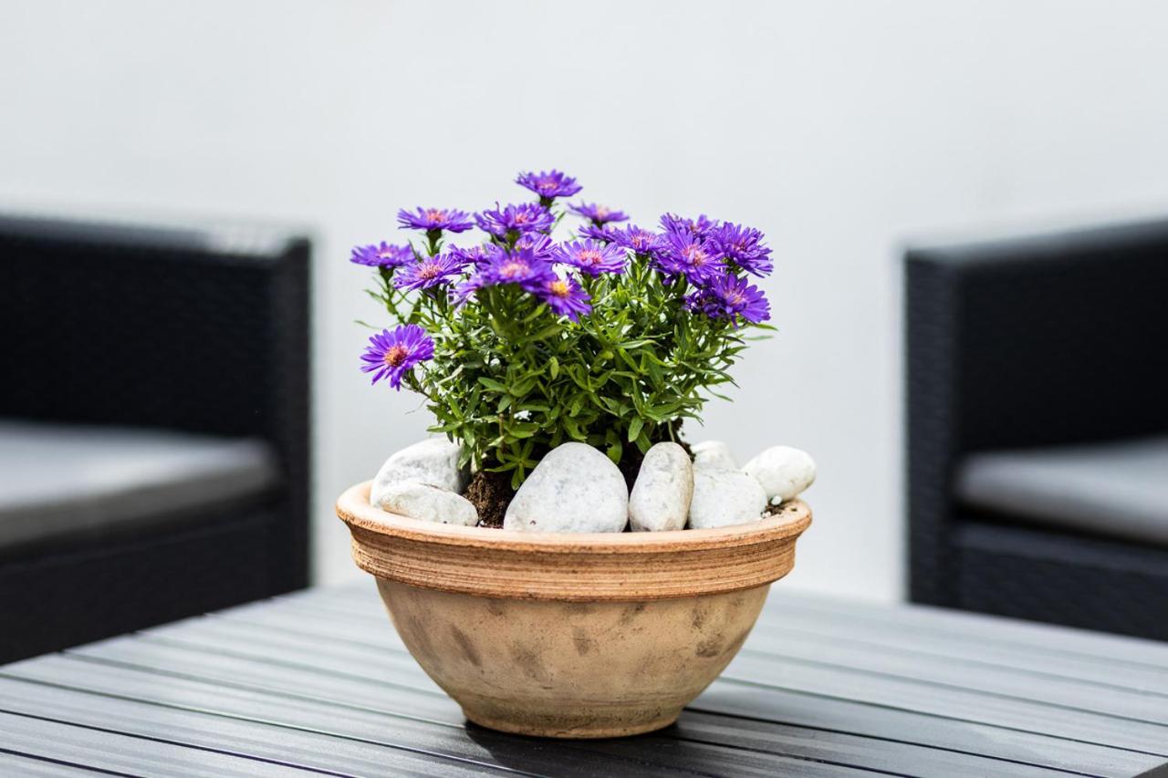 Bükkös Liget Apartman