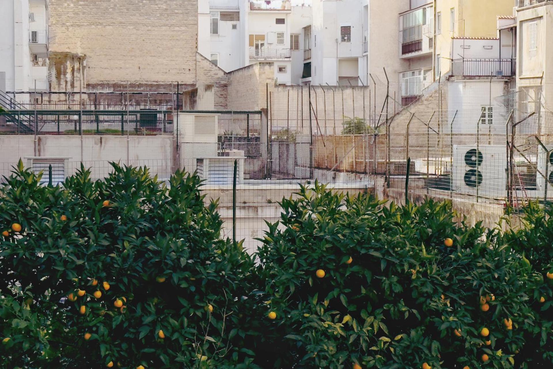 Inner courtyard view