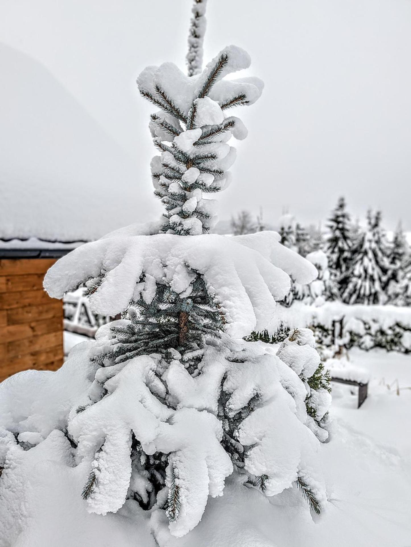 Bojkówka Domki Wypoczynkowe