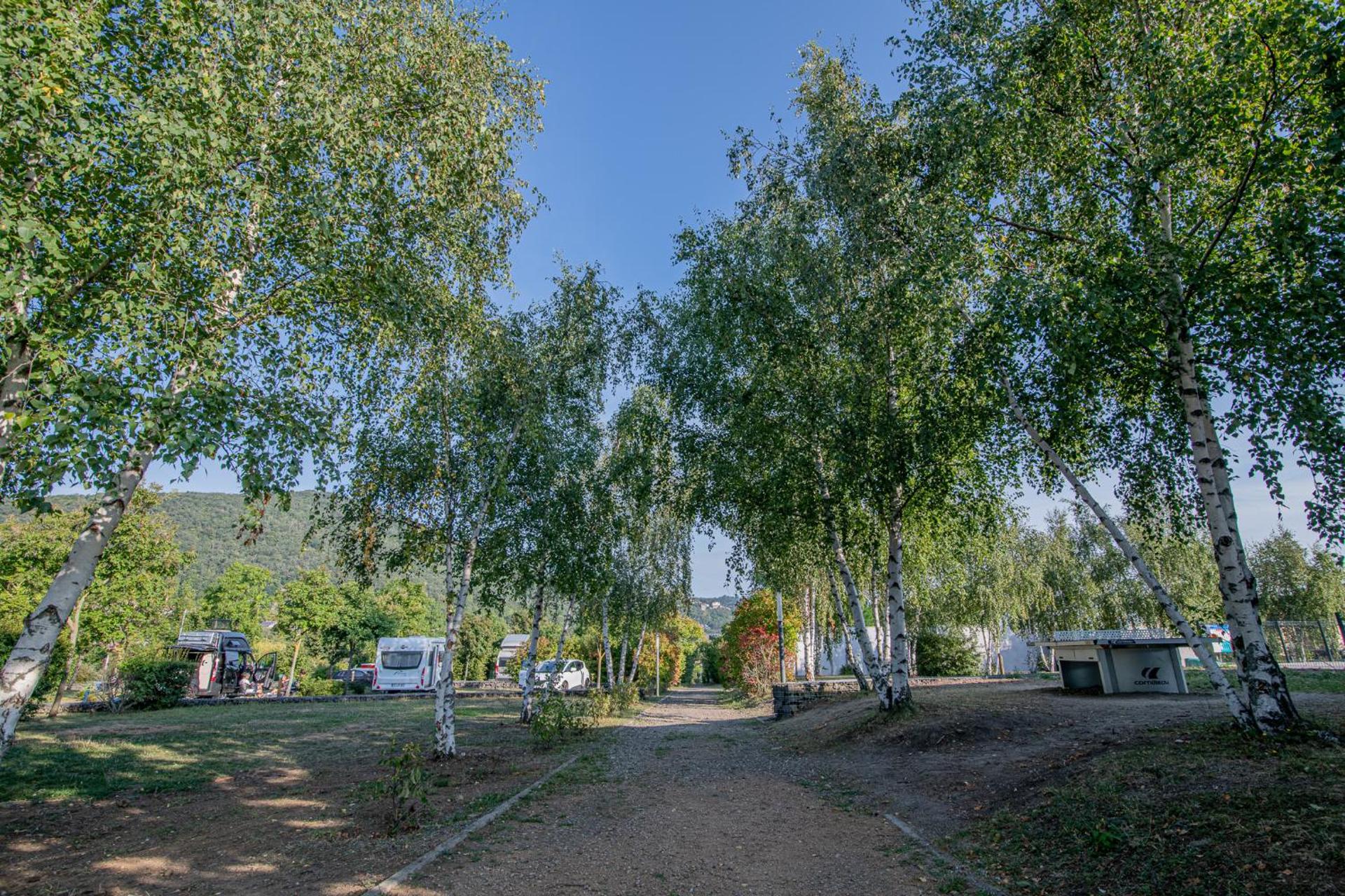 Camping Onlycamp Pierre & Sources