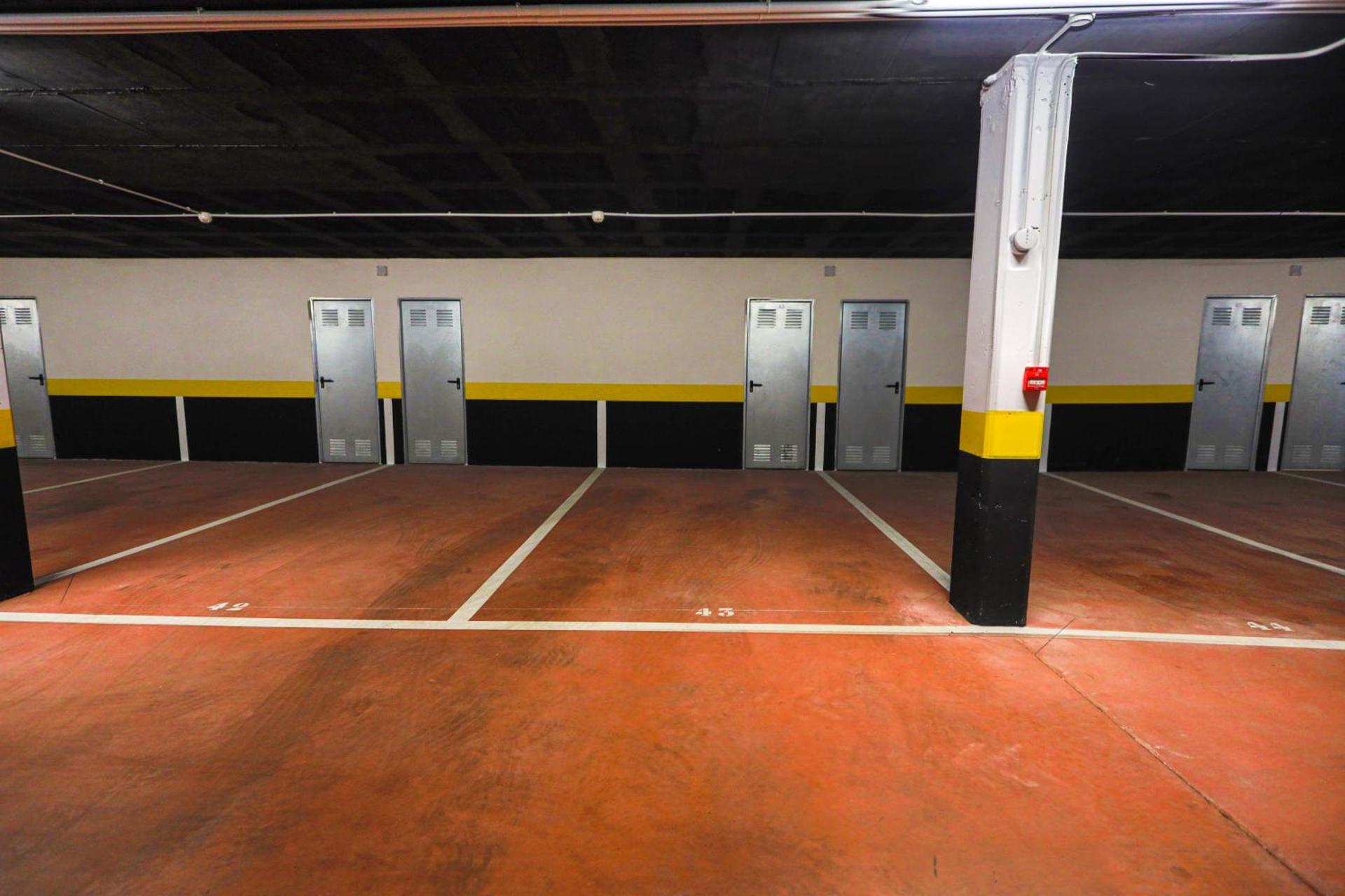 Posidonia I MED by ZANIS