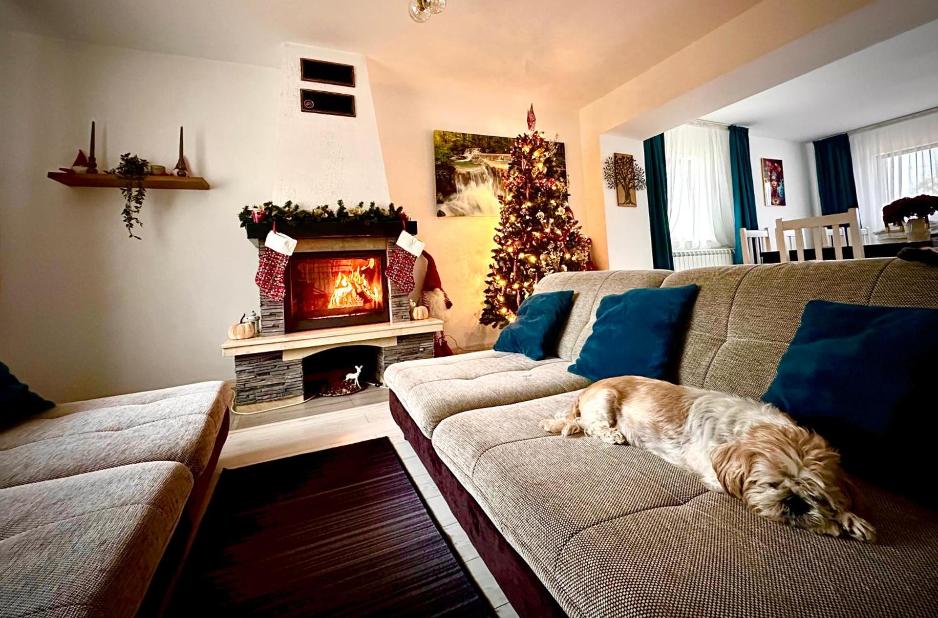 Vila David 2 Comarnic