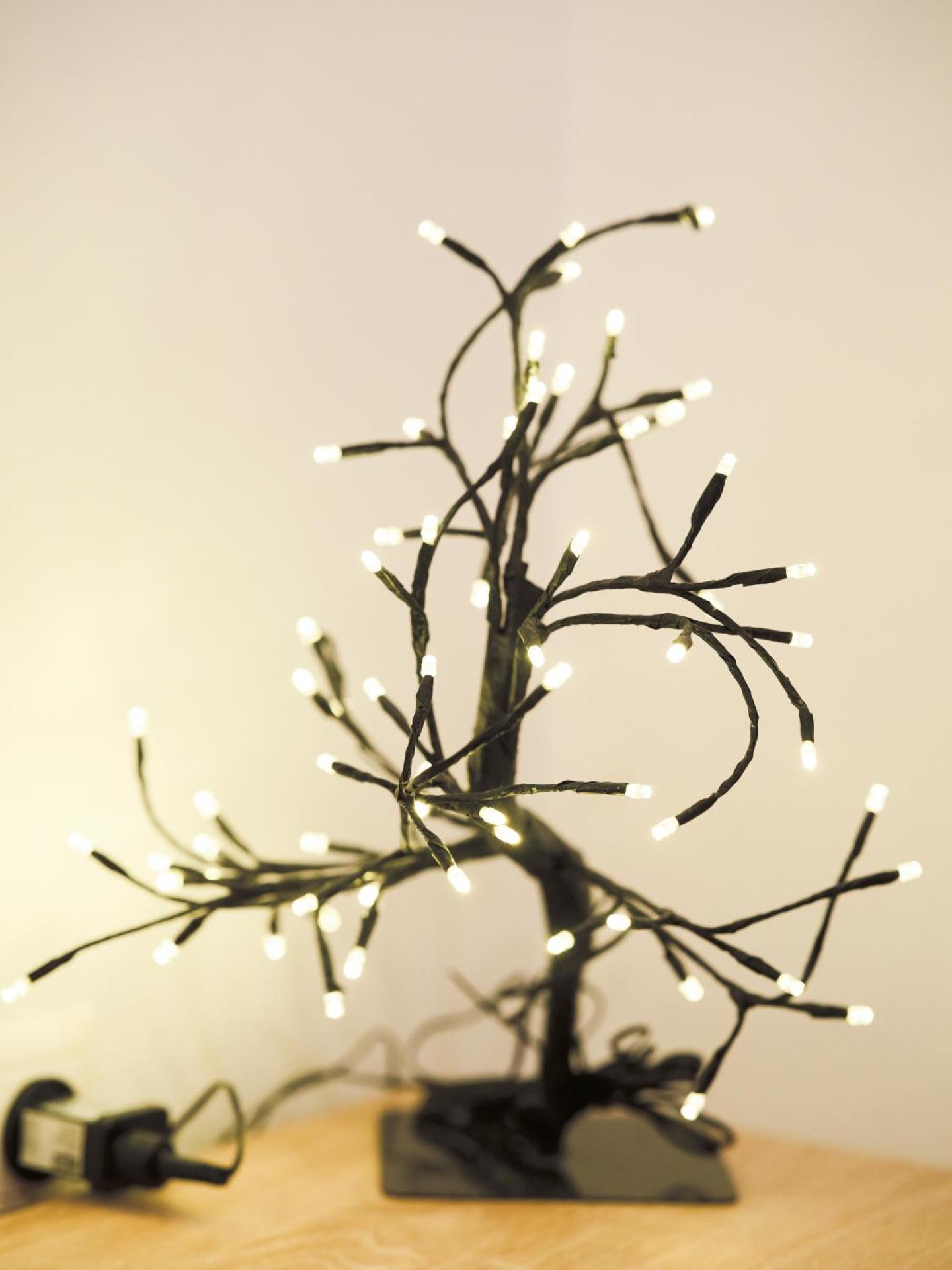 tripoli center apartment