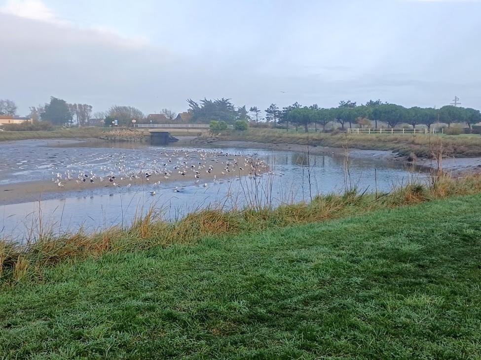 Le 501 F2 de plain-pied avec terrasse