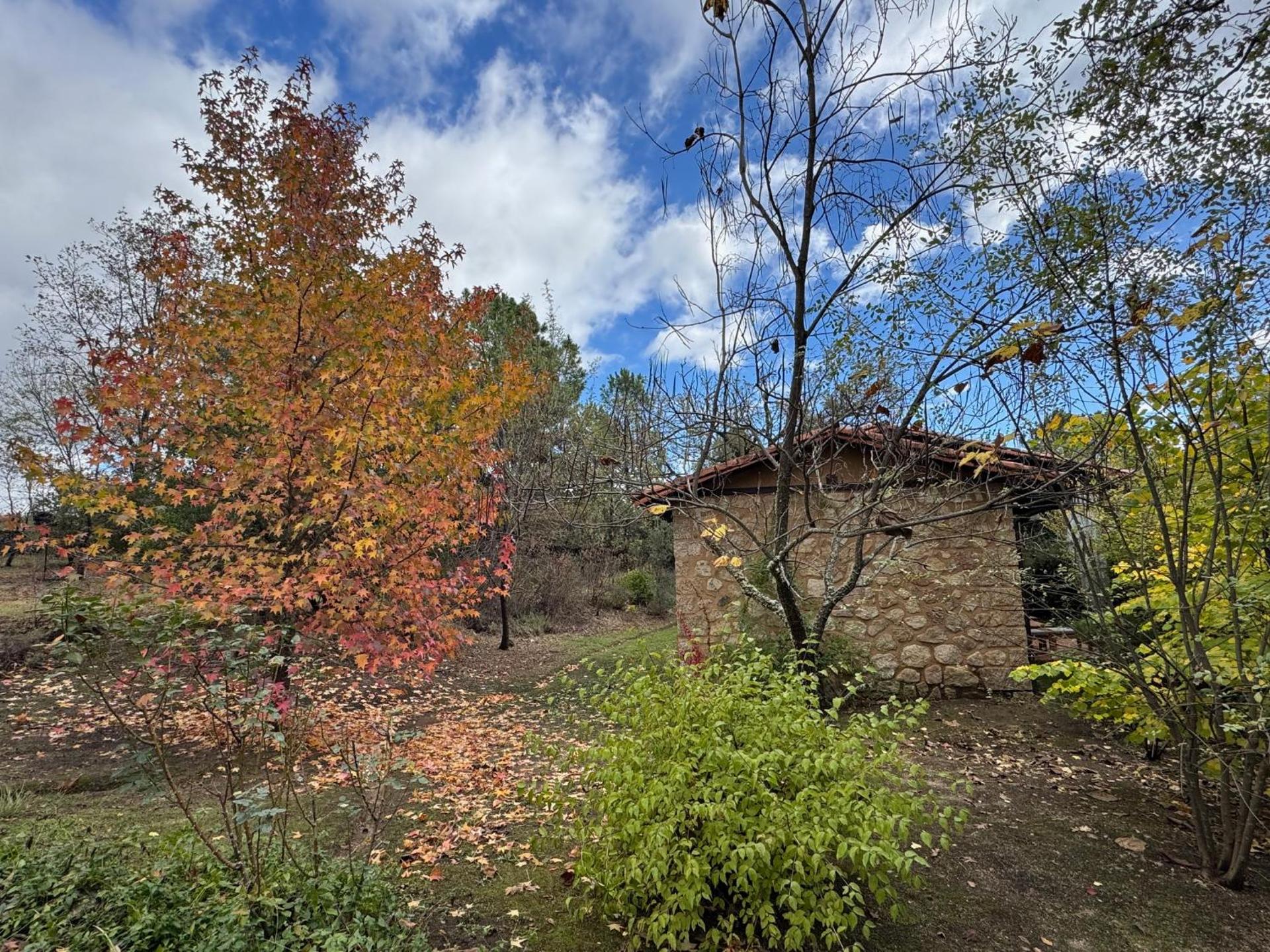 El Roble, casitas rurales