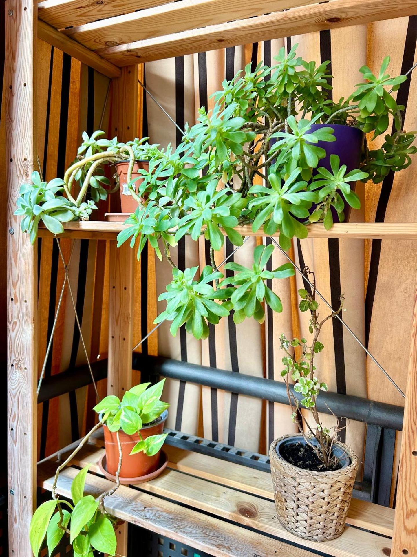 Apartamento Sant Josep