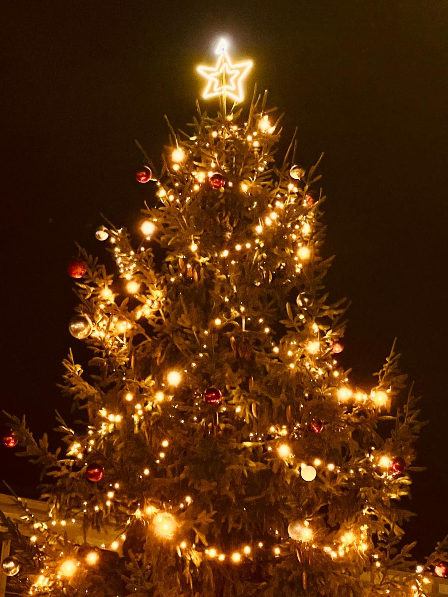 Centre historique de LYONS LA FORET Hotel de Maître le Cottage