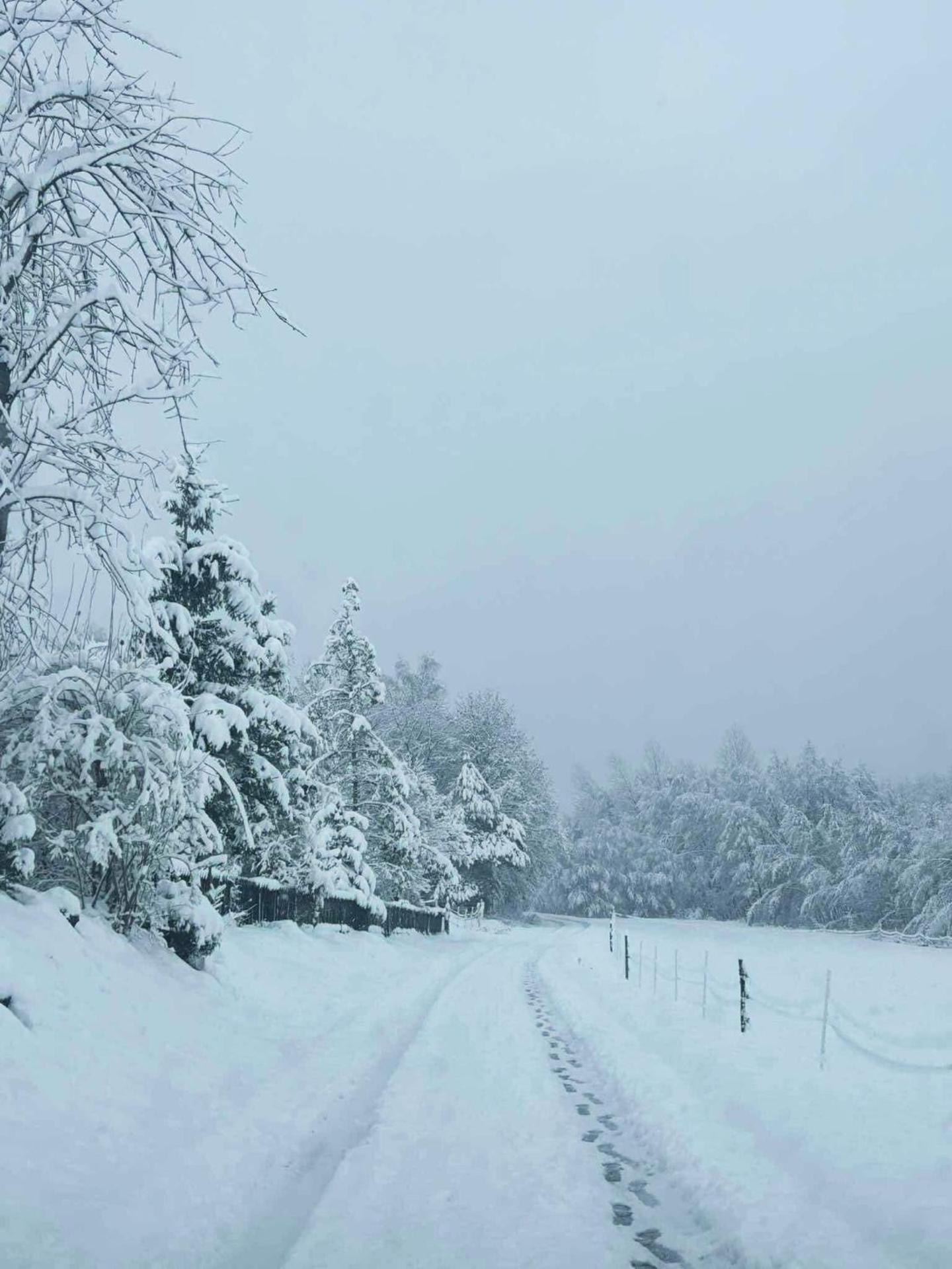 Domek przy Modrzewiach