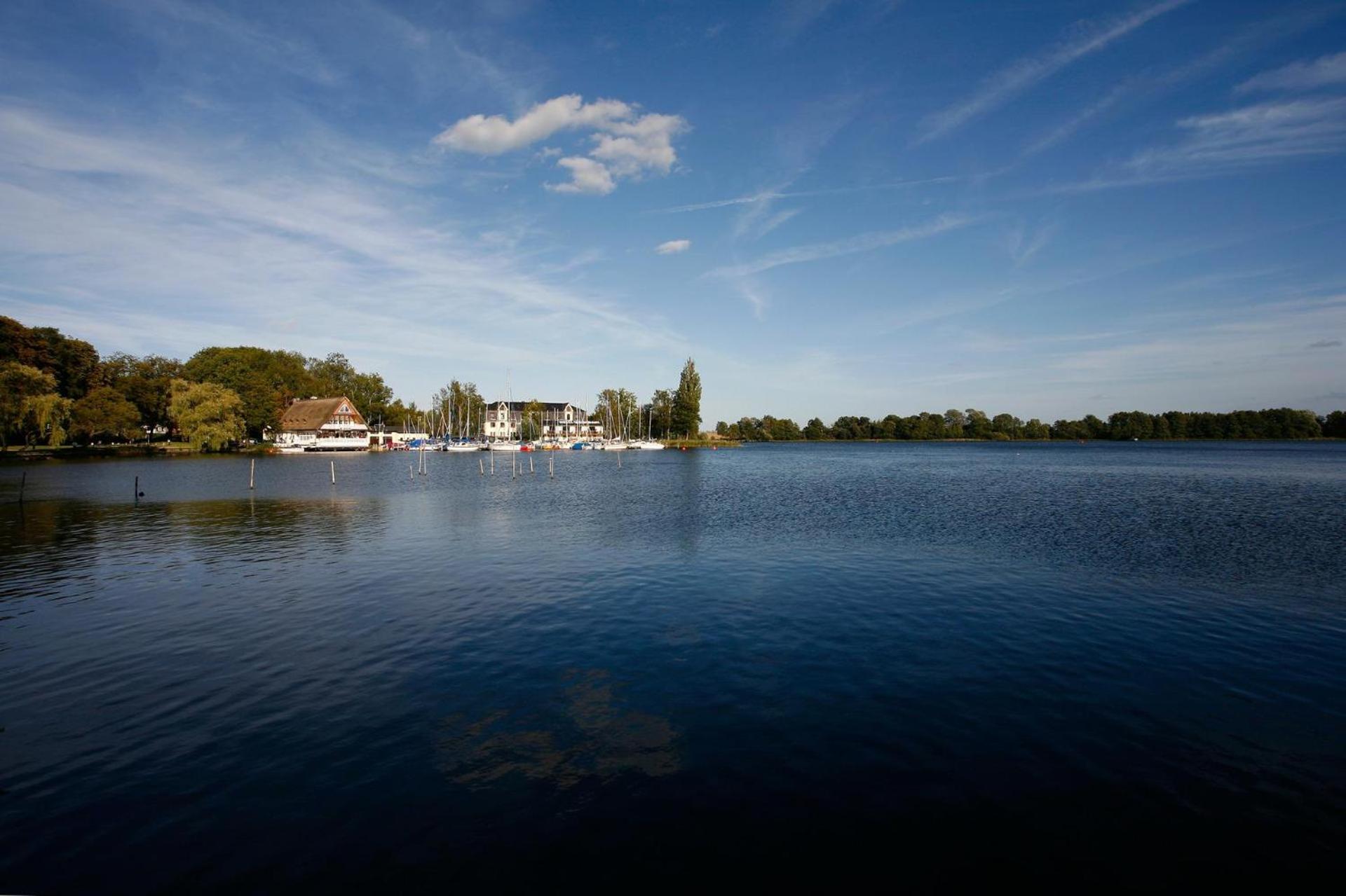 Apartment unter den Kiefern