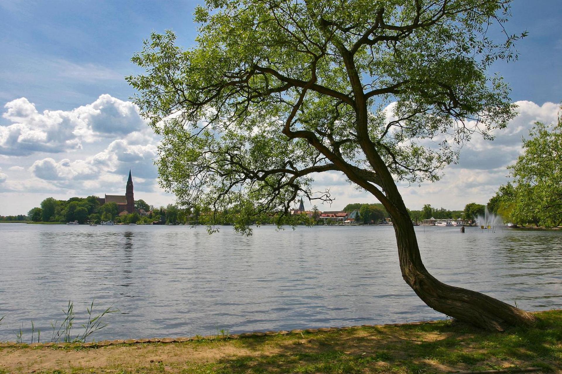 Apartment unter den Kiefern 93