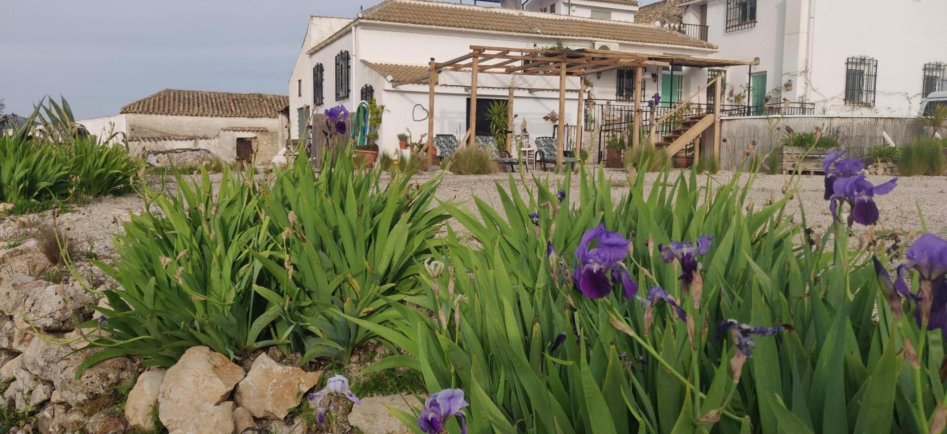 New Leaf Cortijo Apartment ,Moclin