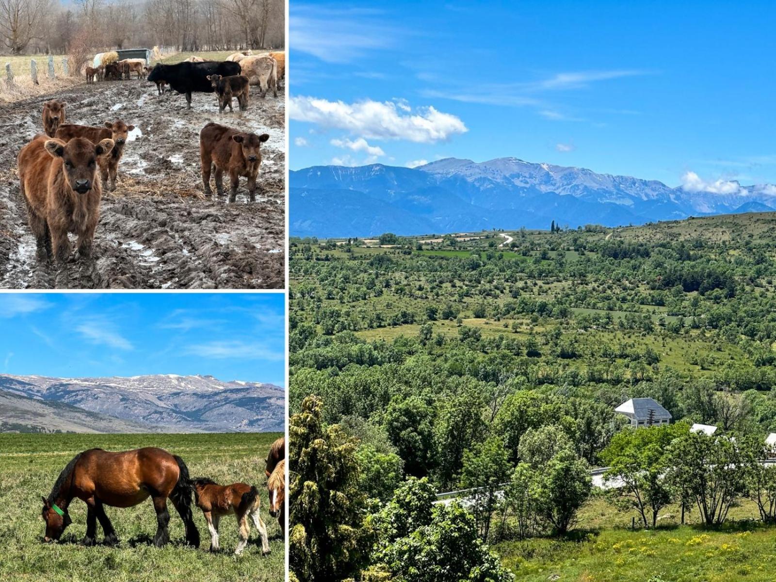 Loft Serenitat Montana Park