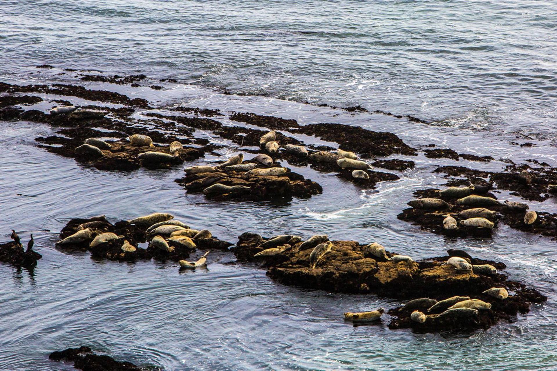 Now Trending - Entire Beach Home Walk to Beaches Restaurants Activities