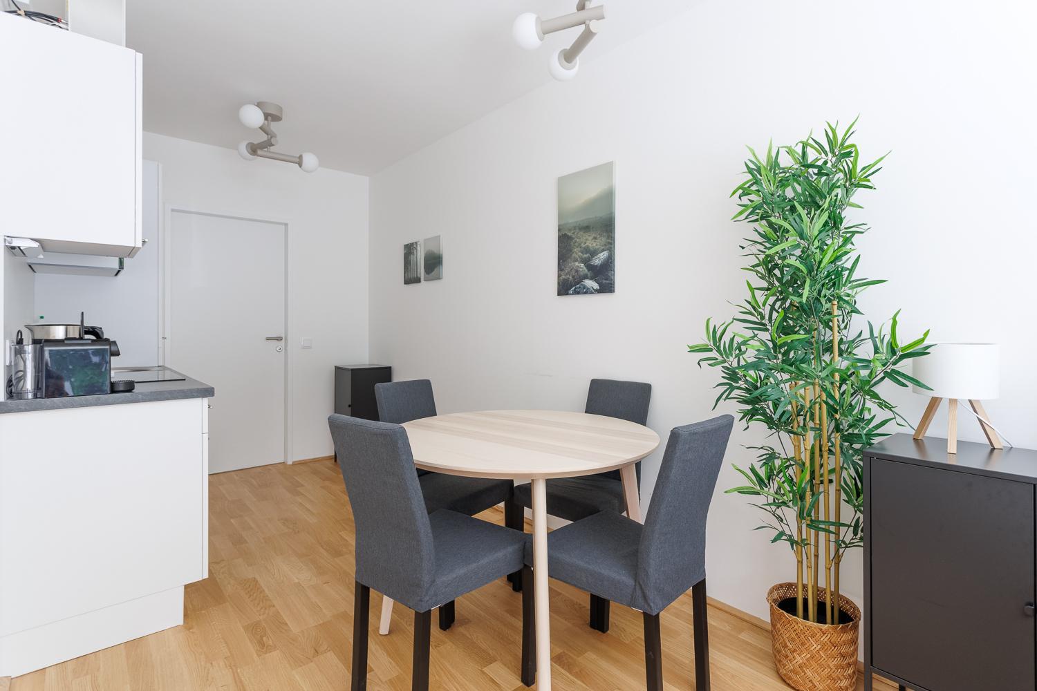 Luxury Ground Floor Apartment