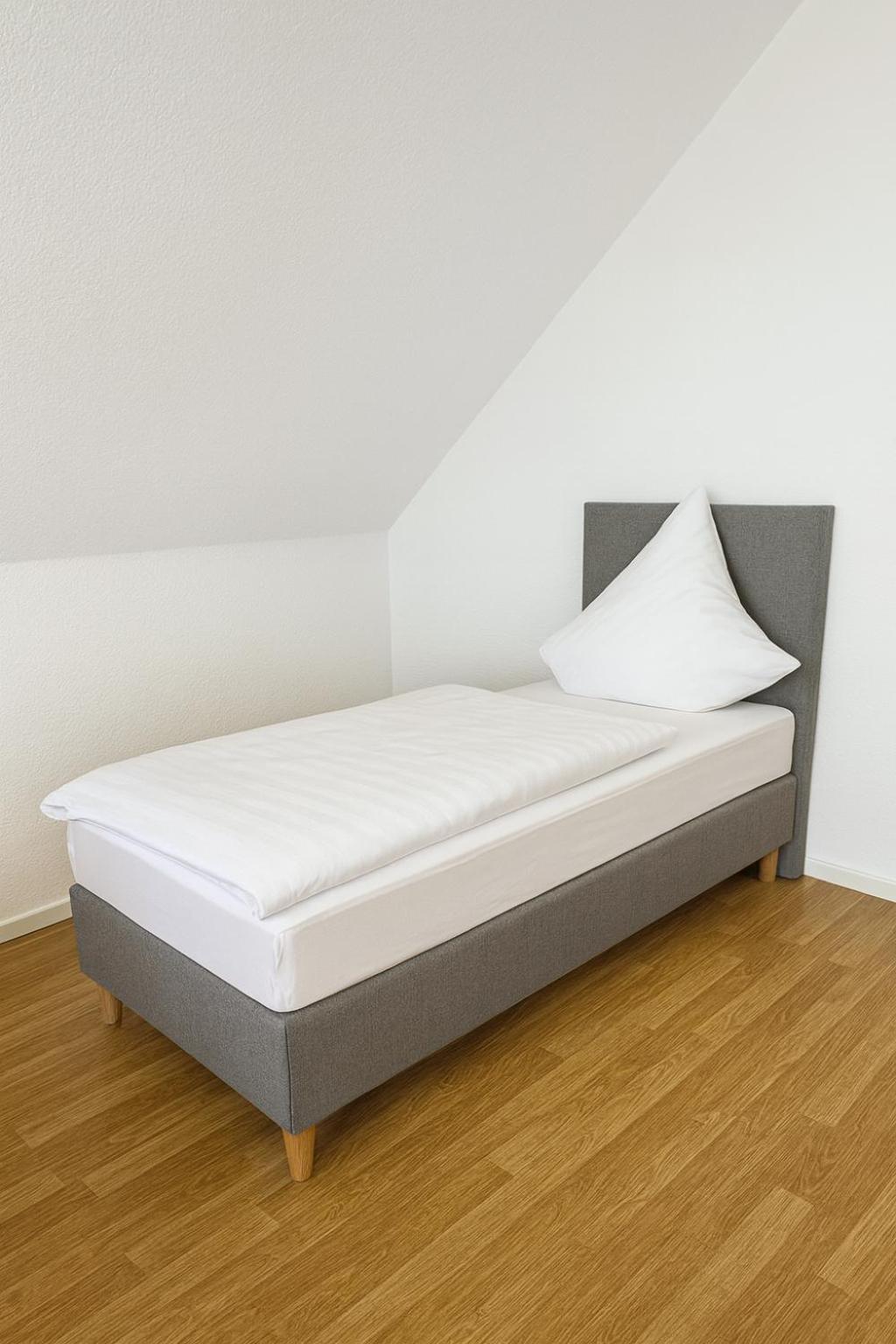 Außergewöhnliche 5 Zimmer Penthouse Wohnung in Kehl