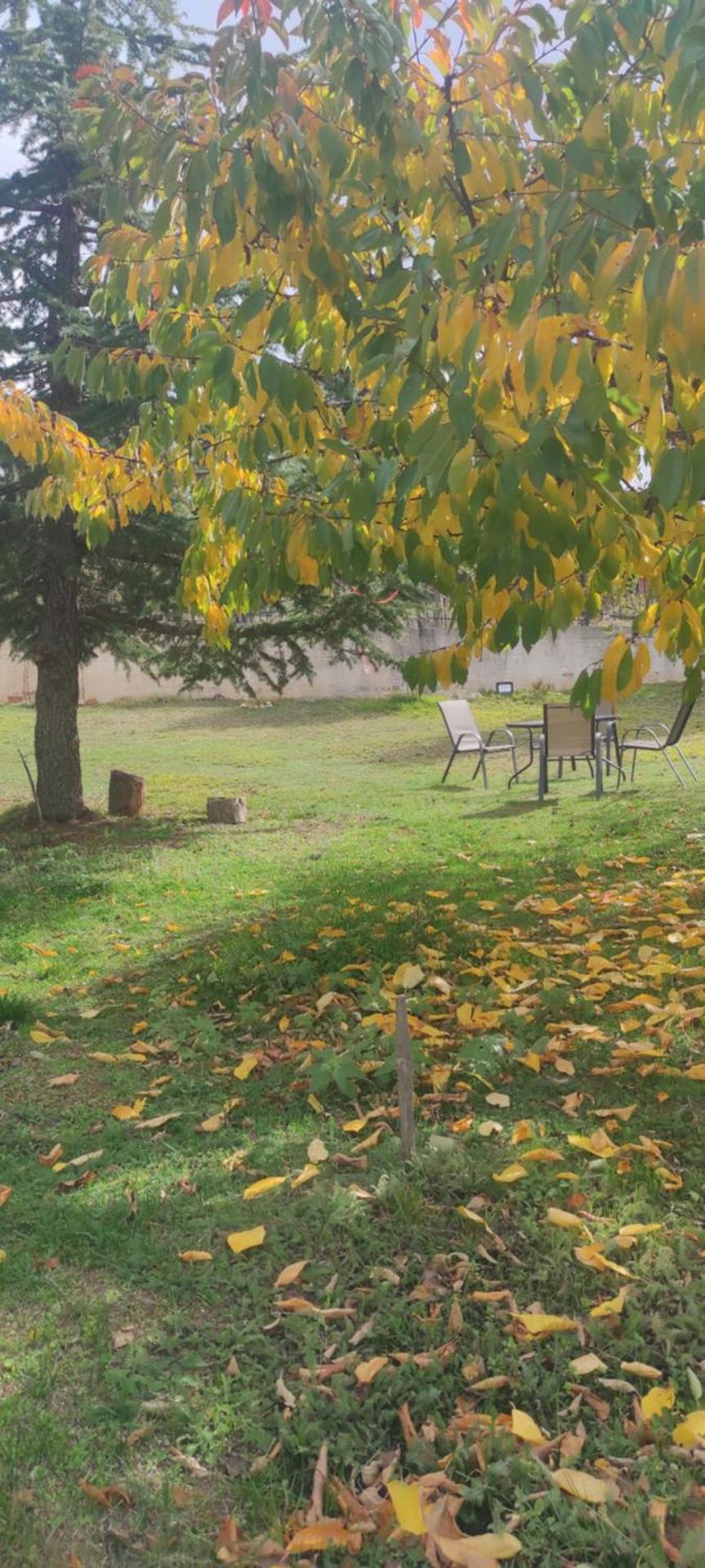 Tsigaridas Mountain Home