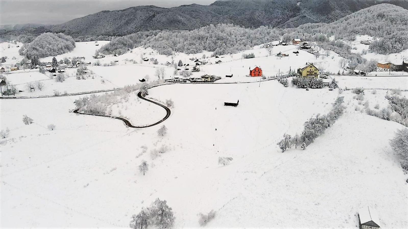 Boutique Hotel Pui de Urs Fundata