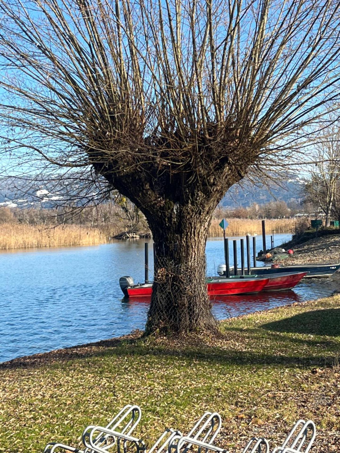 Small attic apartment close to Lake and Mountains Fussach