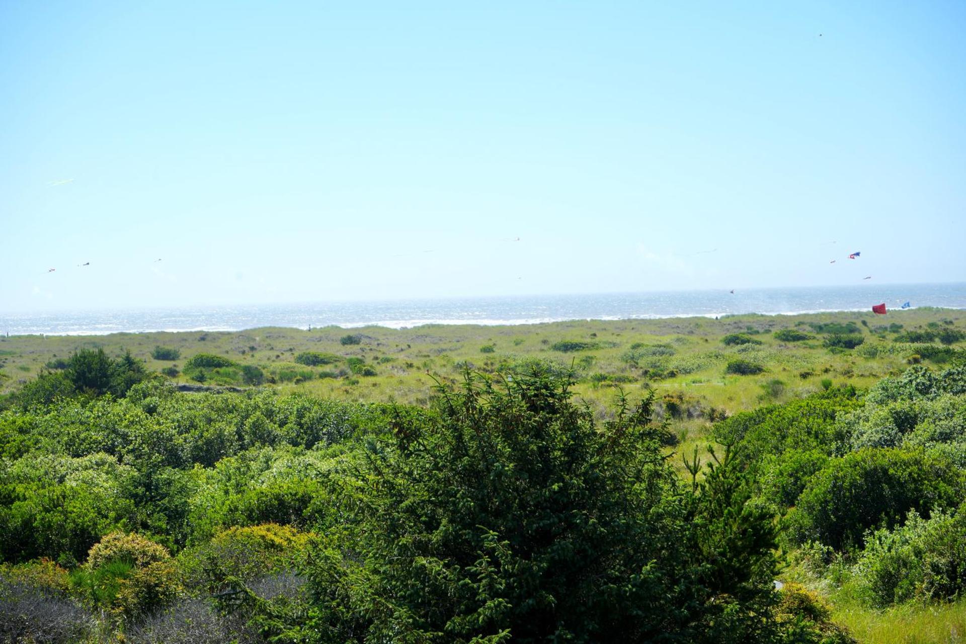 Ocean Paradise Hotel & Resort