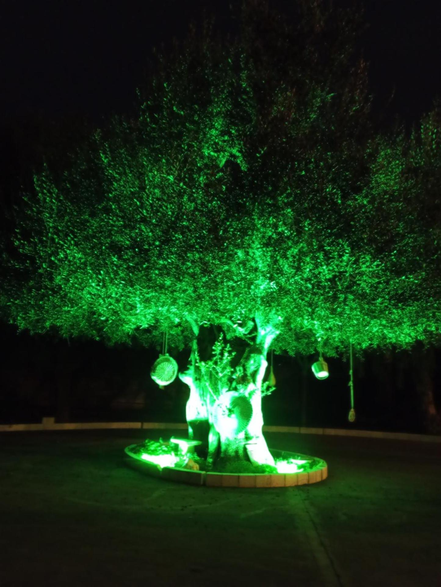 Casal Mastro appartamenti e camere con piscina