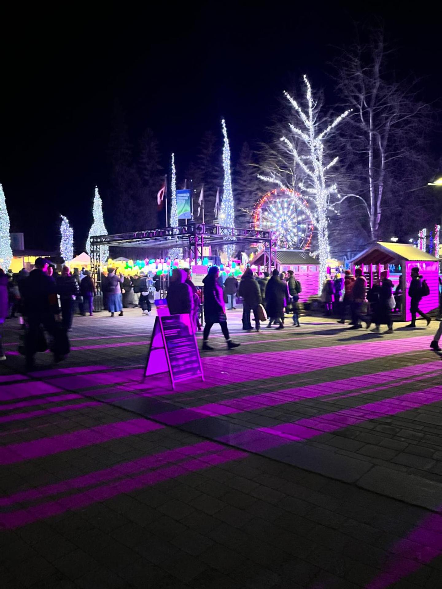 Mountain View 1 bedroom suite with king size bed walk to Village WIFI cable TV free parking boot and glove warmer