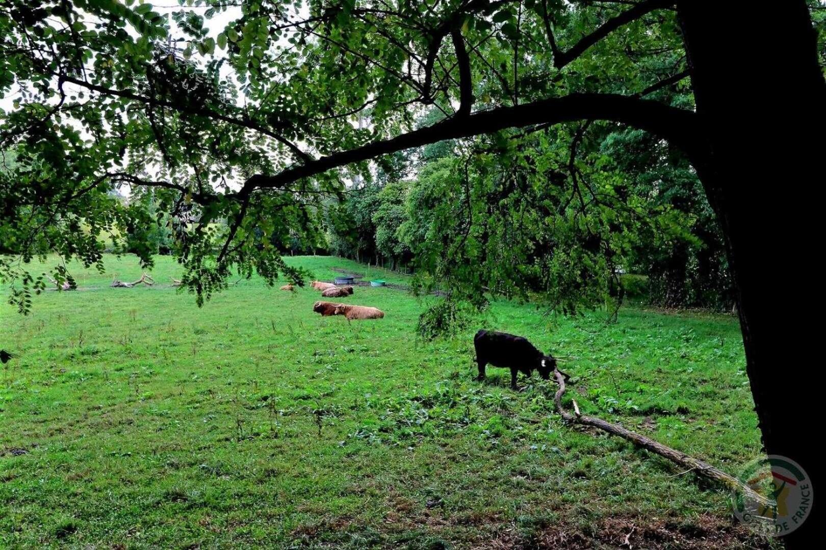 Manoir de la droulinais