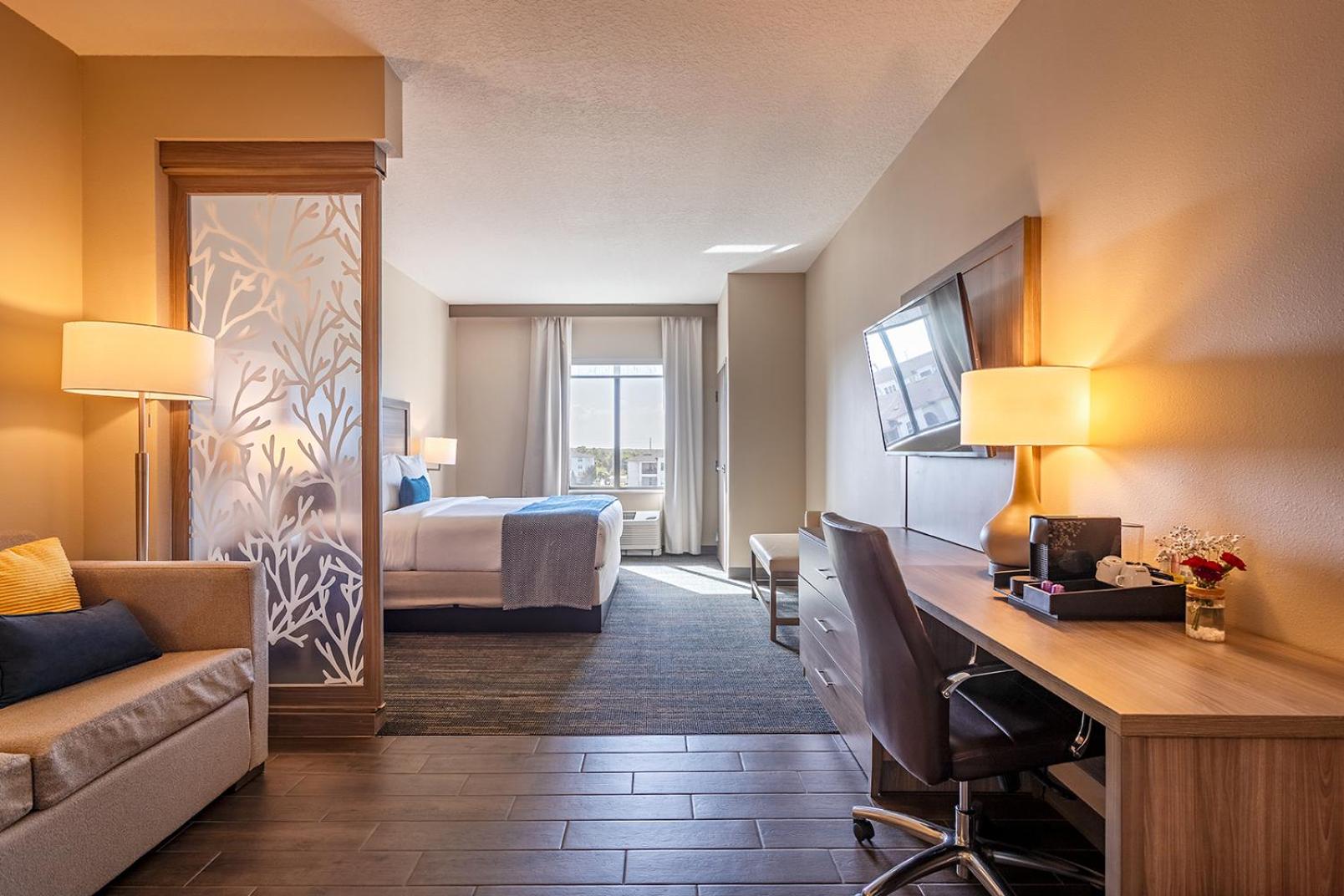 Photo of the whole room