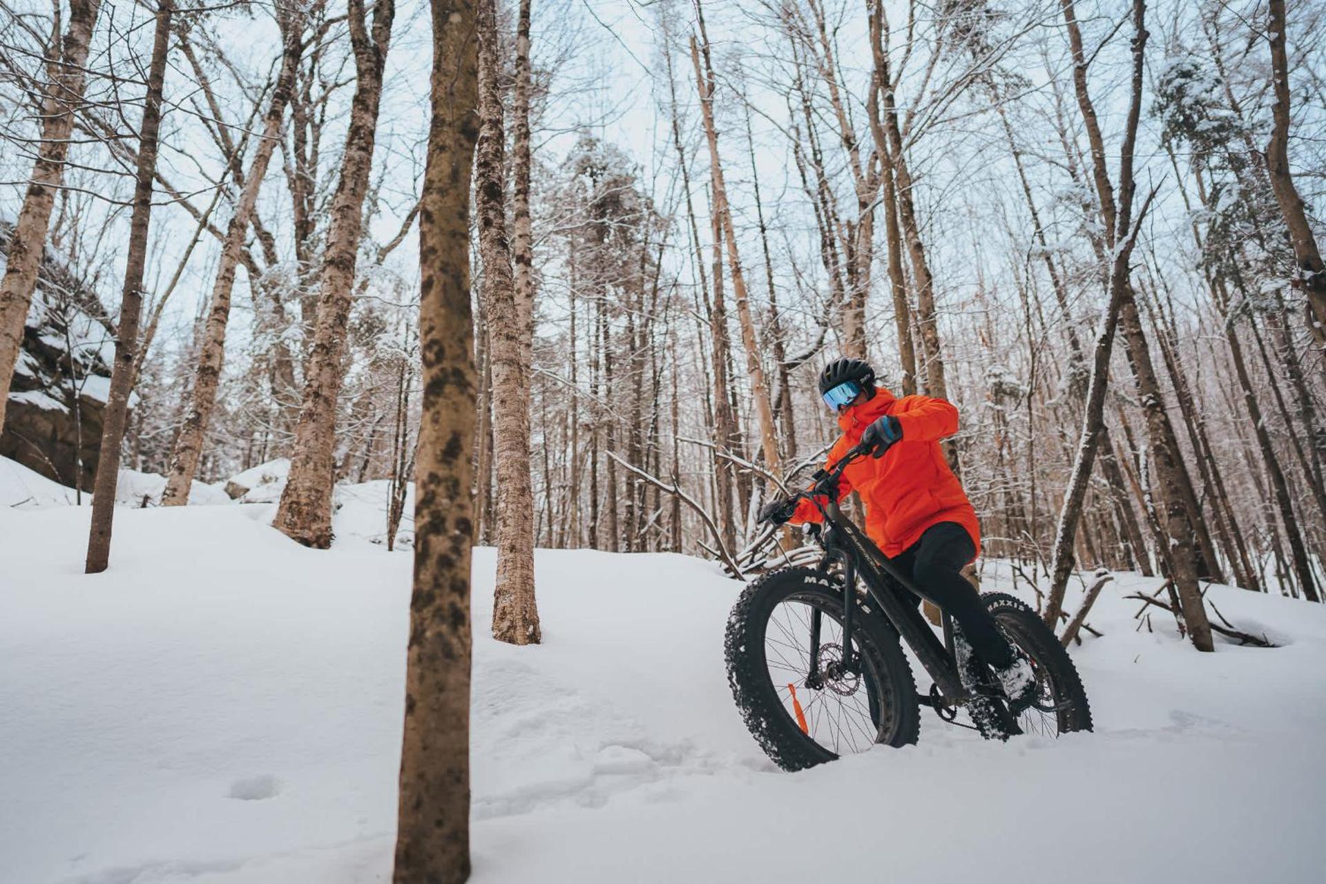 Lakefront Mountain View - Resort Studio