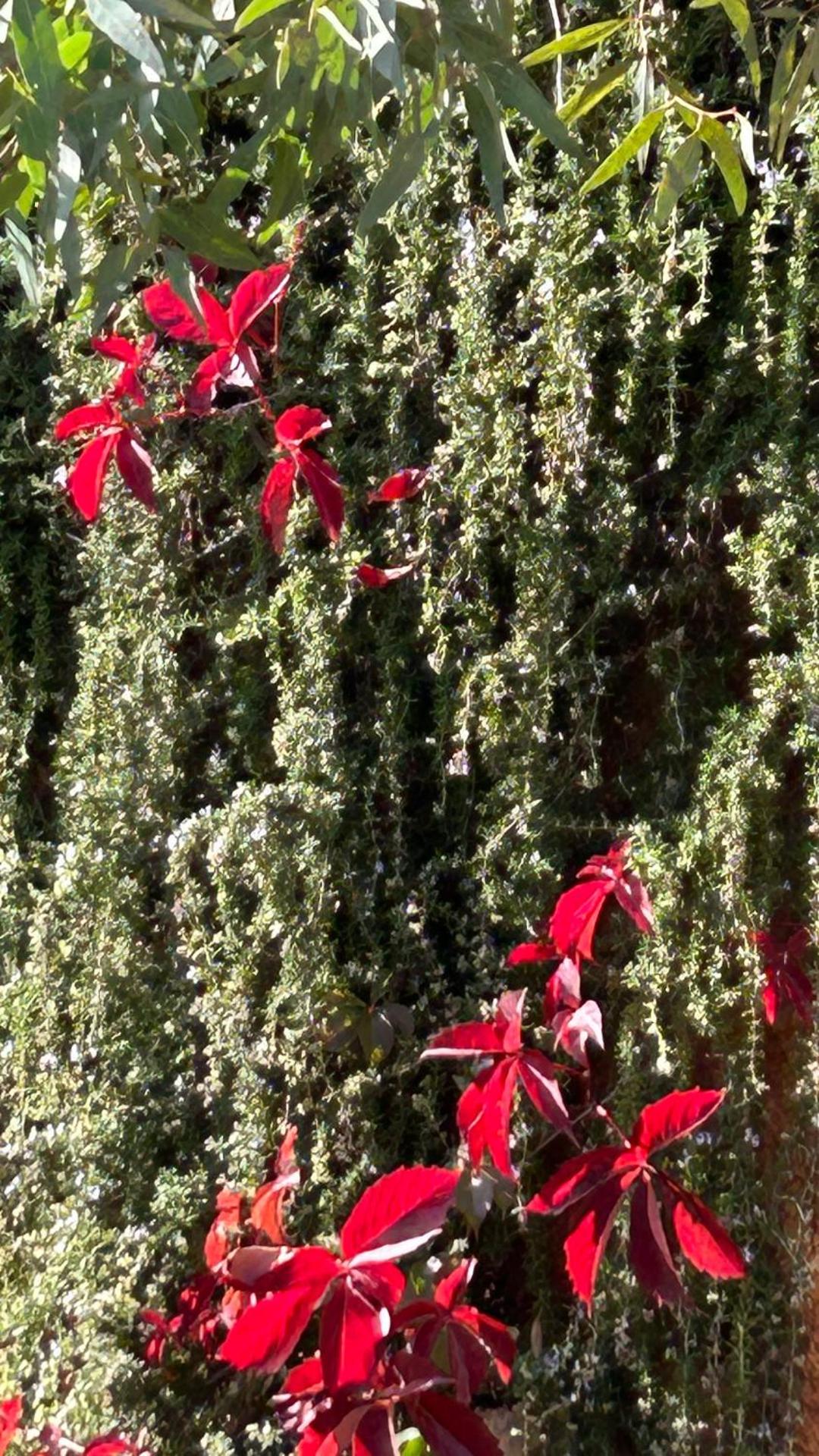 Physis Villas Chania