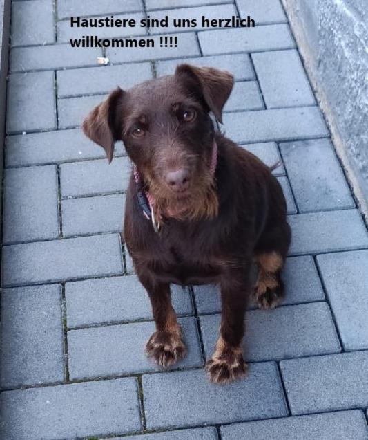 Ferienwohnung am Kinzigberg 5