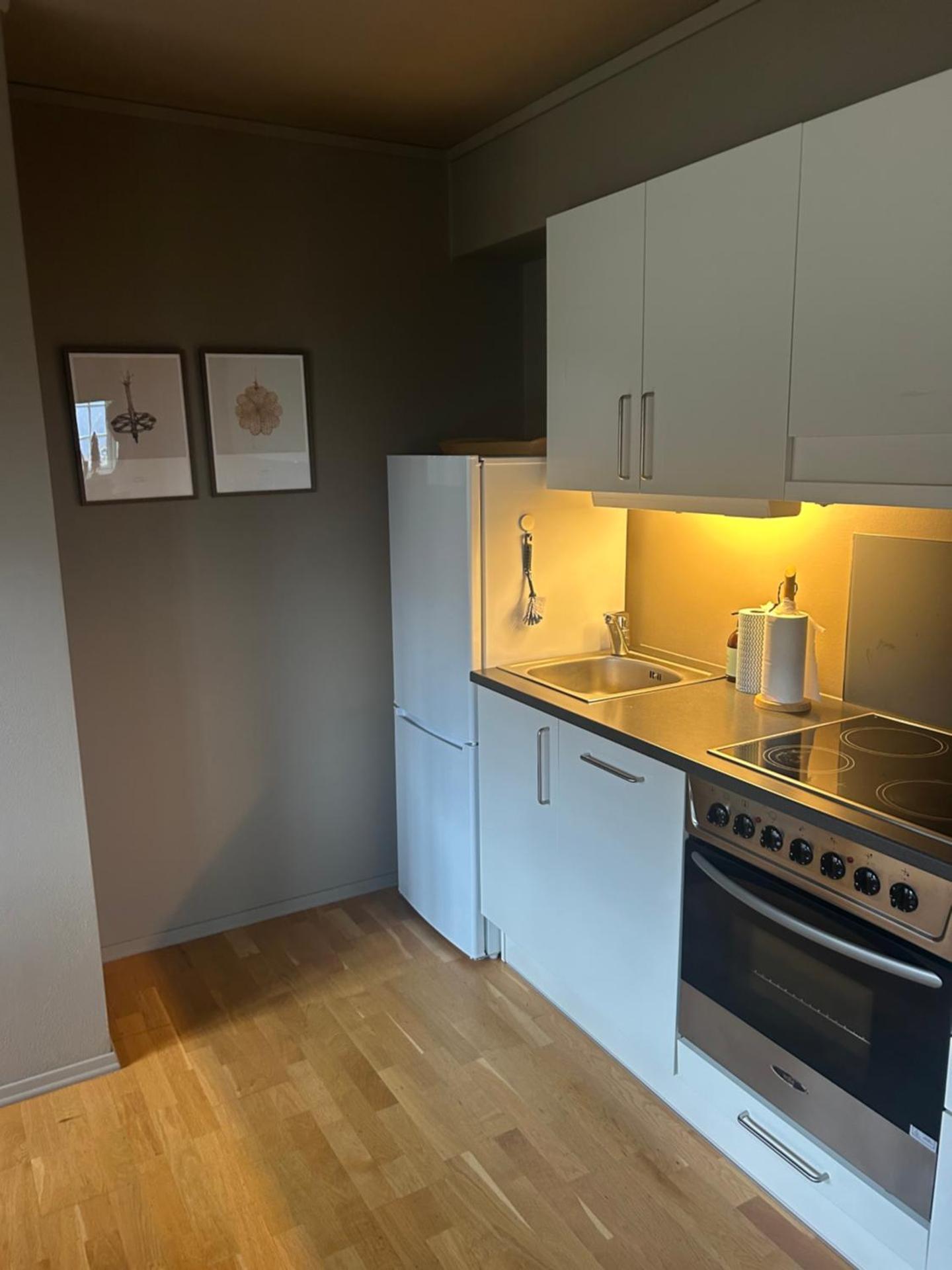 Leilighet i 1 etg Røldal