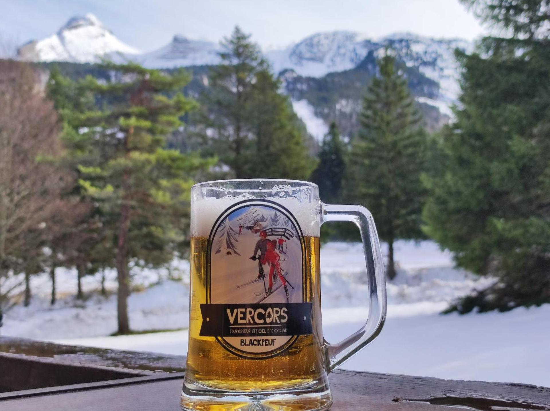 Studio avec vue montagne au pied des pistes