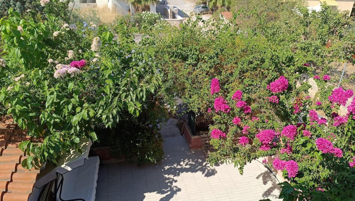 LocriHOUSE-Stylish comfortable home in Galaxidi