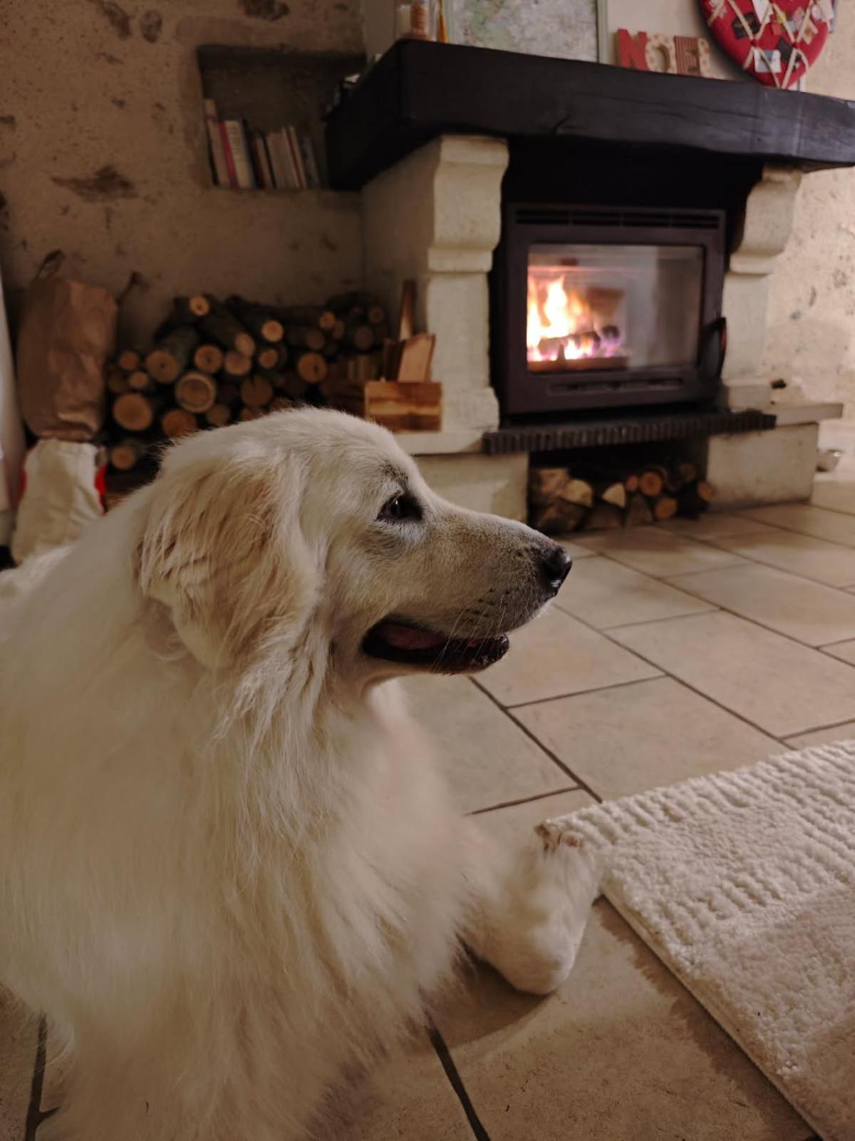 Gîte du Rossignol à 5 minutes du Château de la Citardière et à 14 minutes du Château de Bourneau