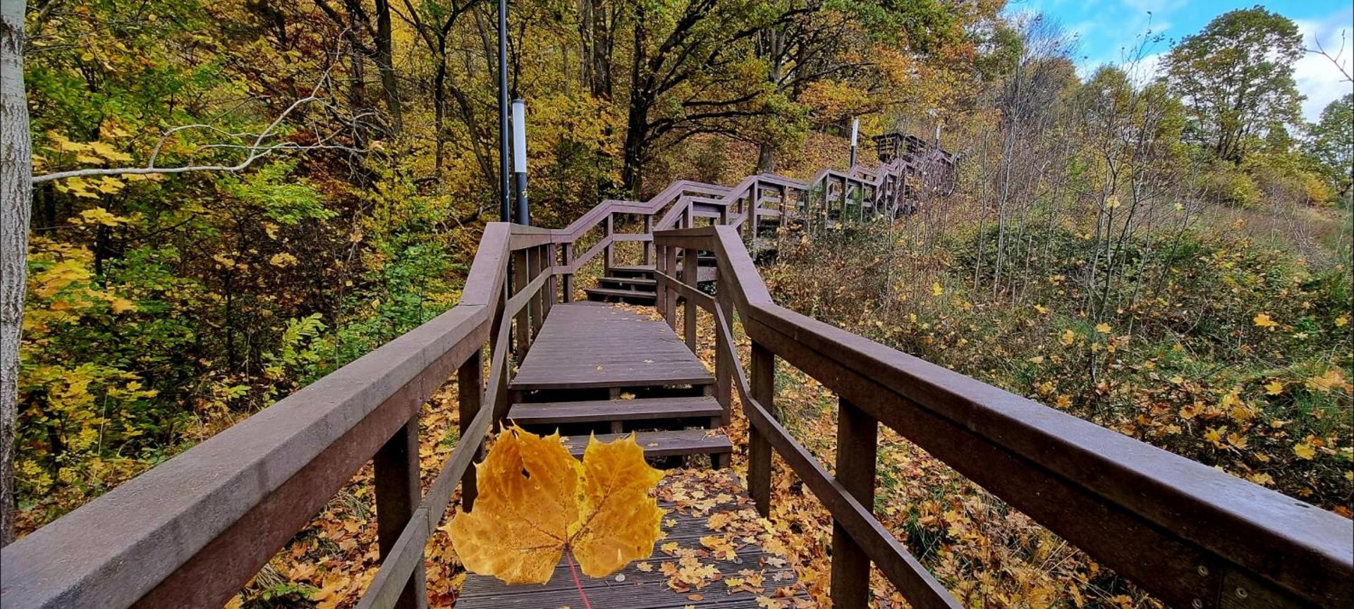 Leśna Przystań Rumia - obok Gdyni i Aquaparku Reda