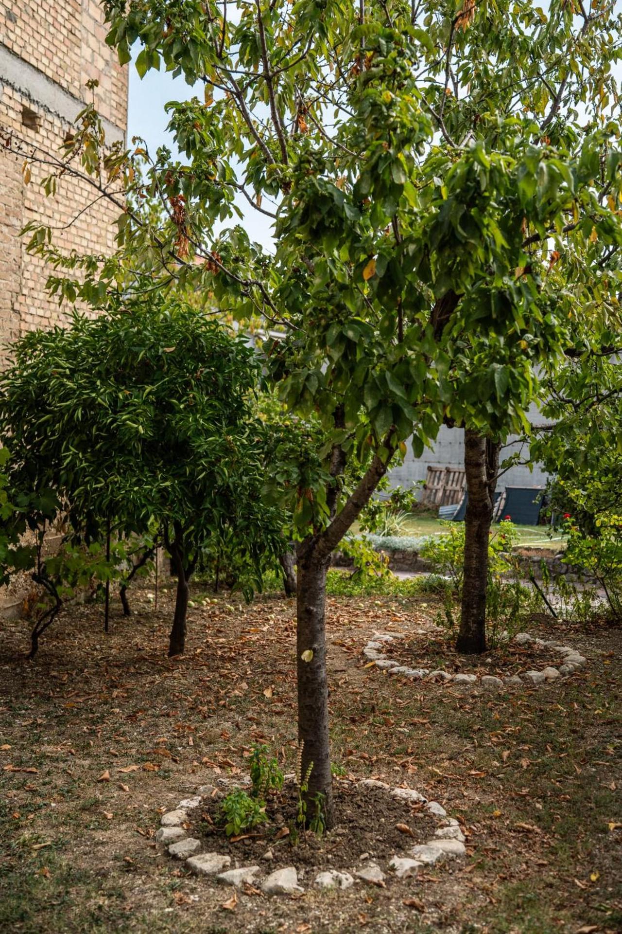 Borgo del Piano "Alloggio Emilia"