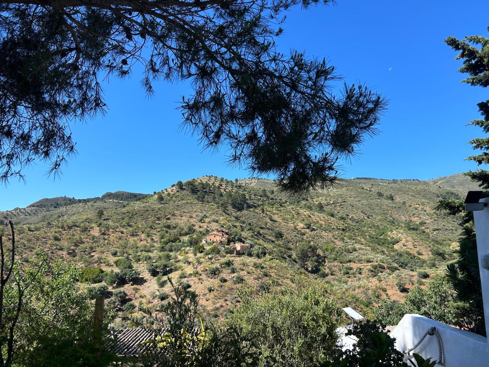 Cortijo Vacas Gordas B&B