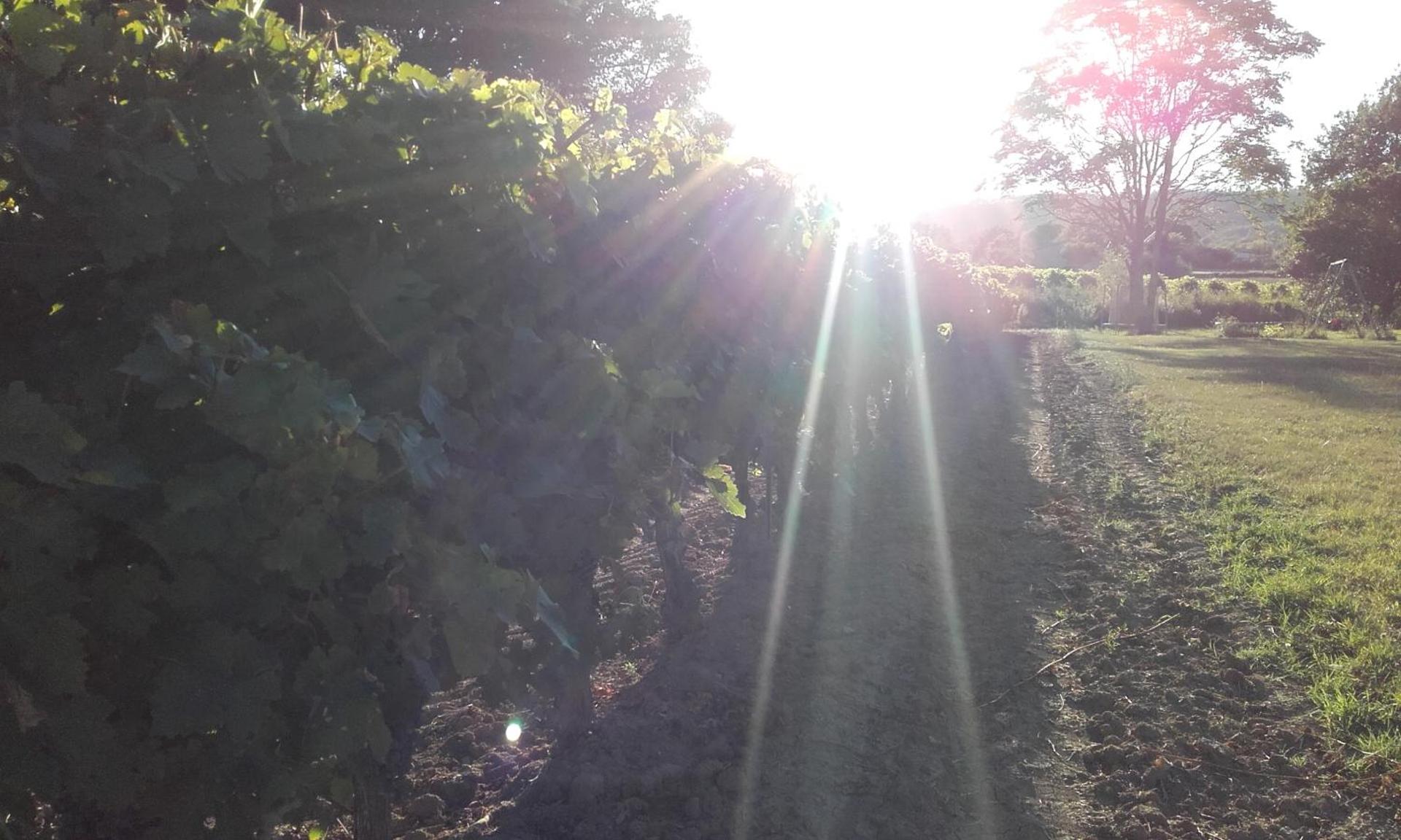 La Bastide du Capelier - Gîte pour 4 personnes avec baignoire balnéothérapie