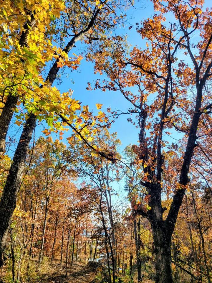 ClemsonILakesideIParkPassIPizzaOvenlYouTubeTVlFirePit