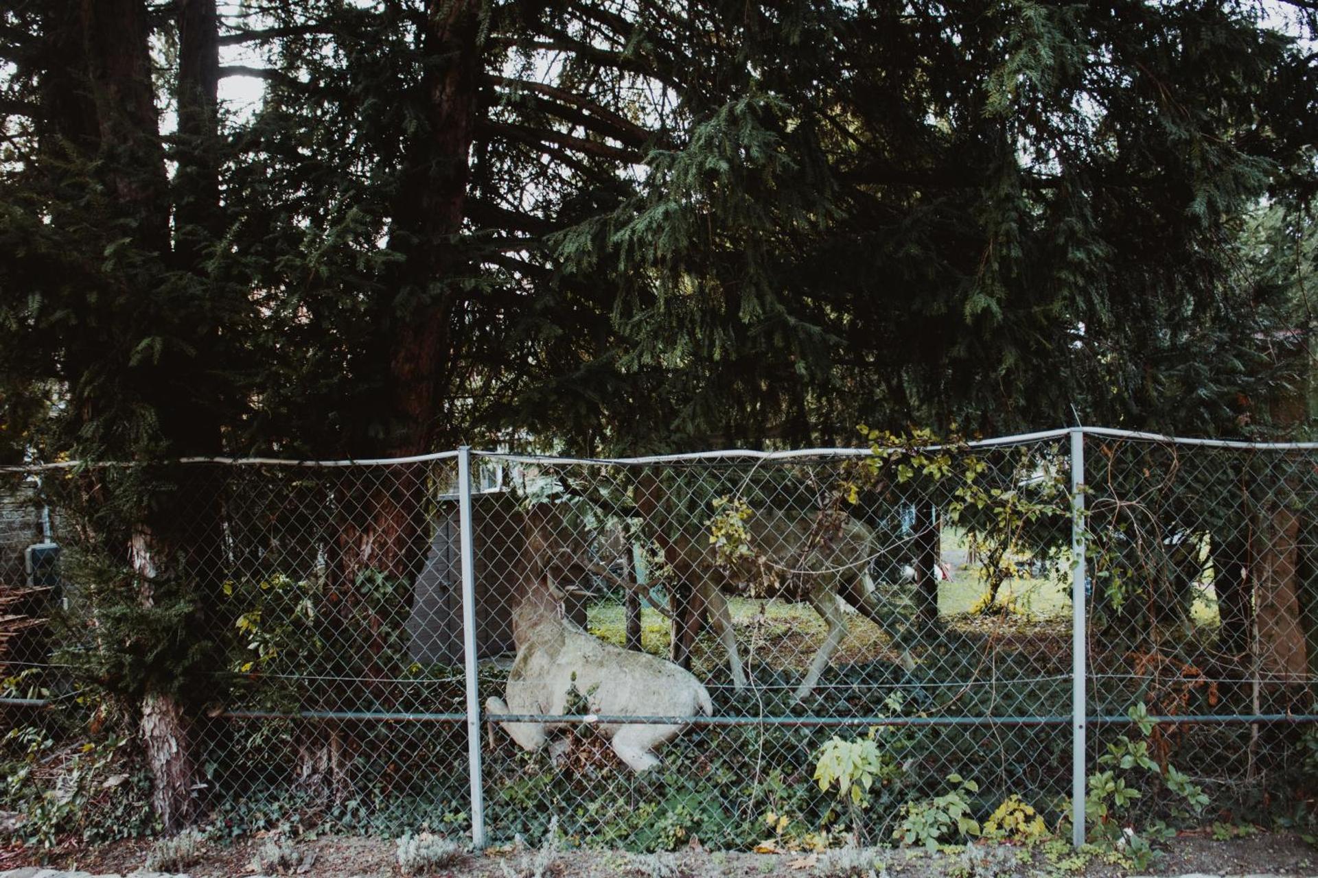 Szent Flórián Tűzoltó Panzió Visegrád