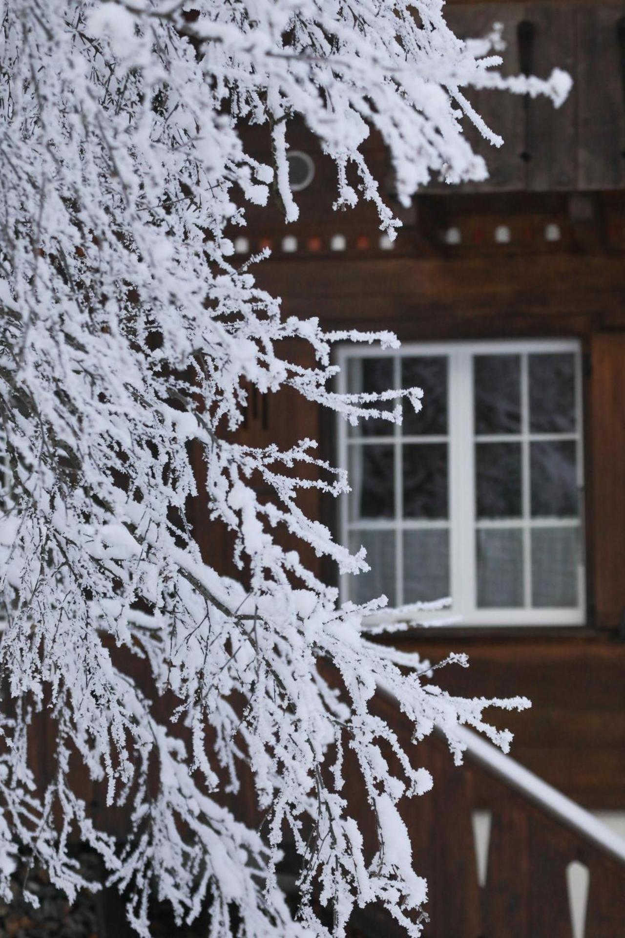 Peacefull Mountains View