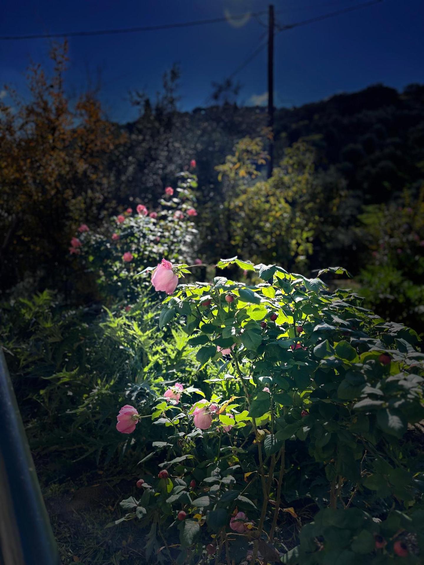 Δωμάτια Εξοχή-With fireplace and view to the sea