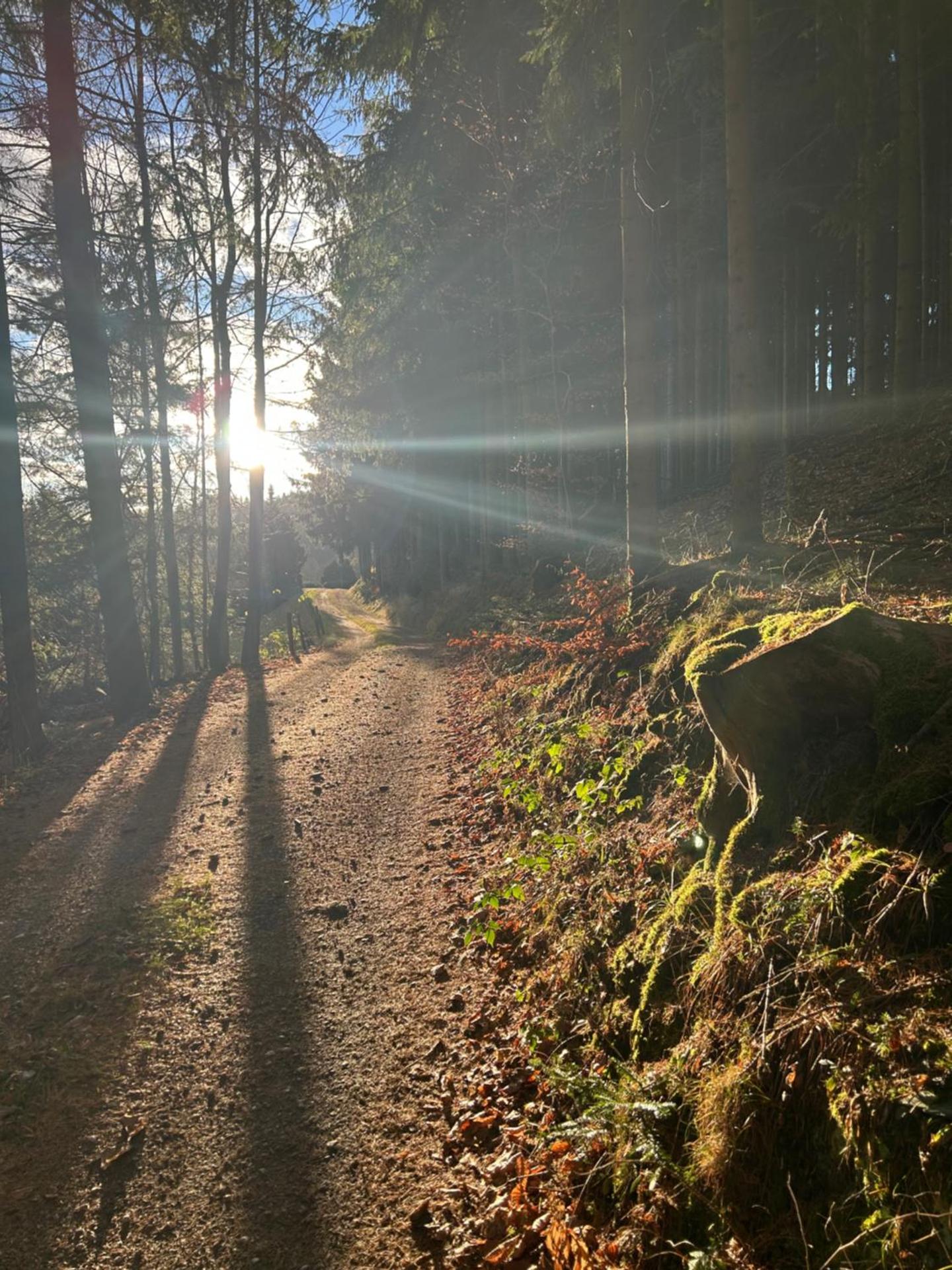 Ferienwohnung Holzer