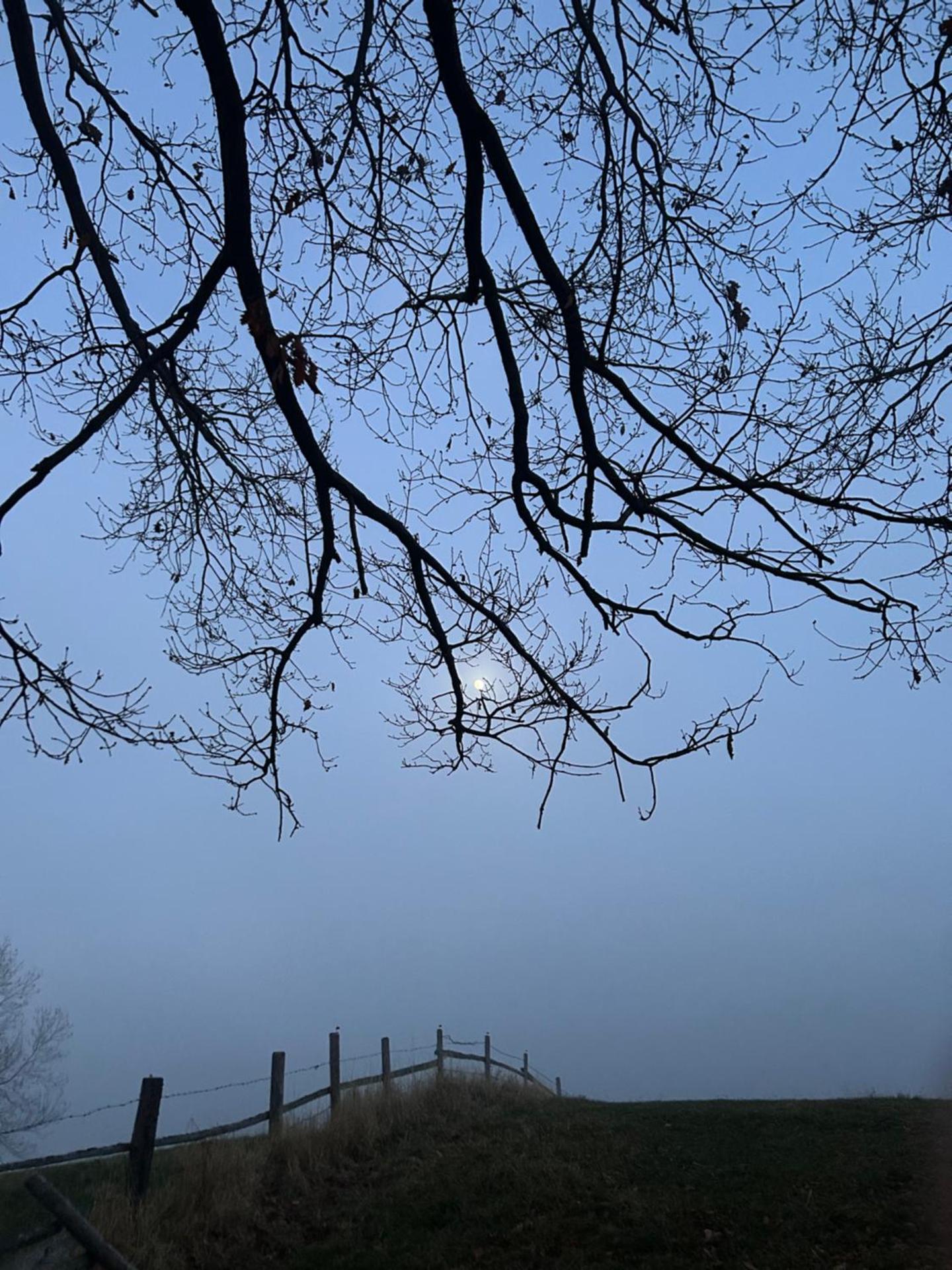 Ferienwohnung Holzer