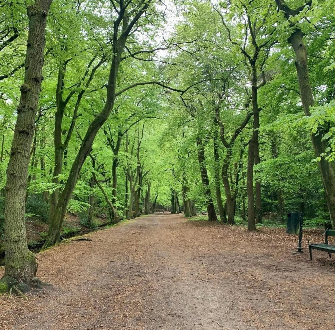 villa Flore, studio's