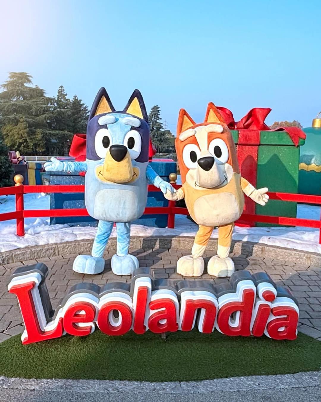 Al NIDO DELLE RONDINI