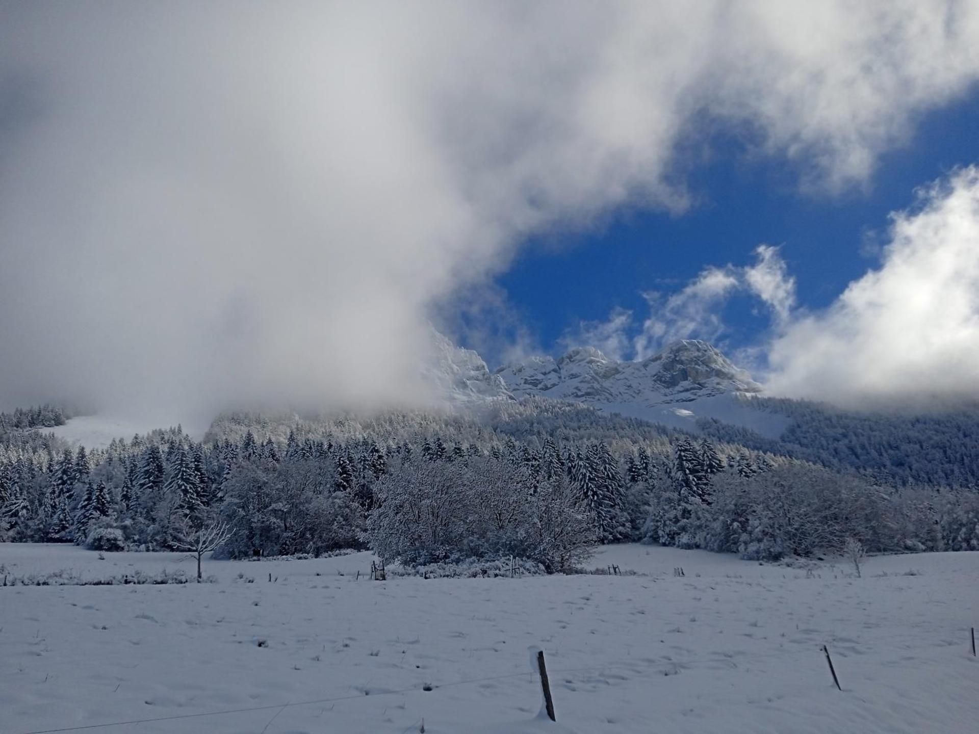 In the heart of nature with an unique view